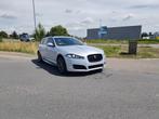 Jaguar xf sportbrake r sport 3.0tdv6 bj15 234dkm full option, Automaat, XF, Bedrijf, Te koop