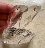 Dolfijn, Ophalen of Verzenden, Nieuw