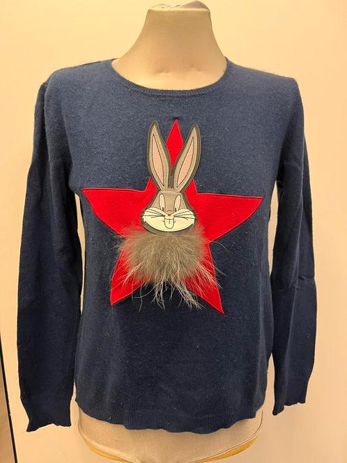 Frogbox pull blauw Maat s - mooie kwaliteit, Kleding | Dames, Truien en Vesten, Zo goed als nieuw, Maat 36 (S), Blauw, Ophalen of Verzenden