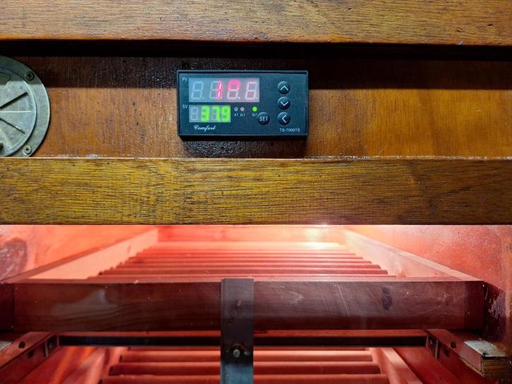 Broedmachine, Dieren en Toebehoren, Pluimvee | Toebehoren, Zo goed als nieuw, Broedmachine, Ophalen