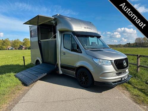 Mercedes-Benz Sprinter 317 AMG 2-paards Paardenvrachtwagen B, Dieren en Toebehoren, Paarden en Pony's | Trailers en Aanhangwagens