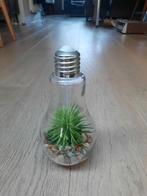 kunstplant, Enlèvement ou Envoi, Comme neuf, Intérieur