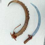 Zeldzaam Afrikaans zwaard met gewei als schede, Ophalen of Verzenden, Overige soorten, Zwaard of Sabel