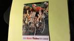 wielerkaart 1971 team flandria  eric de vlaeminck, Verzenden, Gebruikt