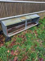 Hooiruif, Dieren en Toebehoren, Weidegang