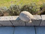 Schildpad, Tuin en Terras, Ophalen of Verzenden, Zo goed als nieuw