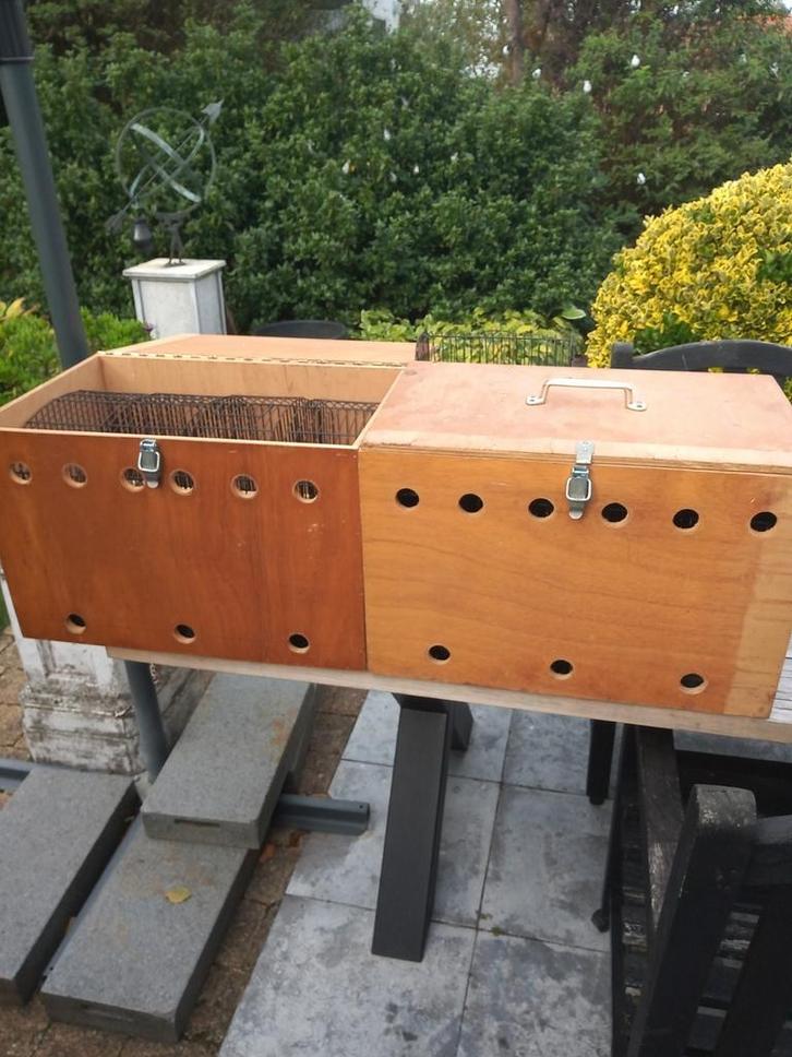 Golstertentoostellingskooien en koepelkooien, Dieren en Toebehoren, Vogels | Hokken en Kooien, Ophalen