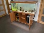 Superbe aquarium Jewel de 450 litres eau douce, Animaux & Accessoires, Poissons | Aquariums & Accessoires, Comme neuf