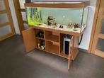 Superbe aquarium Jewel de 450 litres eau douce, Animaux & Accessoires, Comme neuf