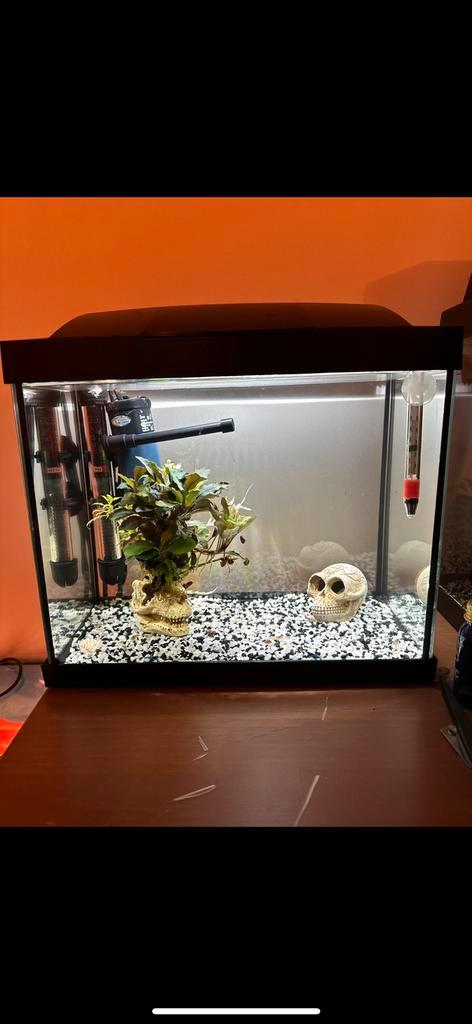 Aquarium 25L met accessoires verwarming led en filterpompje, Dieren en Toebehoren, Vissen | Aquaria en Toebehoren, Zo goed als nieuw