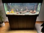 Aquarium juwel Rio 240, Dieren en Toebehoren, Ophalen, Gebruikt