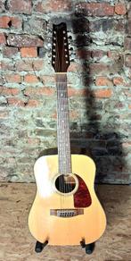 Fender 12 string F130 12, Ophalen, Gebruikt, Overige typen, 12-snarig