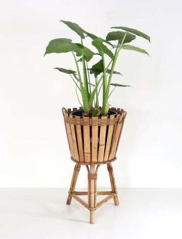 Vintage bamboe plantenbak jaren 60 beschikbaar voor biedingen
