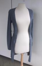 Lange vest/gilet dames Miss Swan, Ophalen of Verzenden, Zo goed als nieuw, Maat 36 (S), Grijs