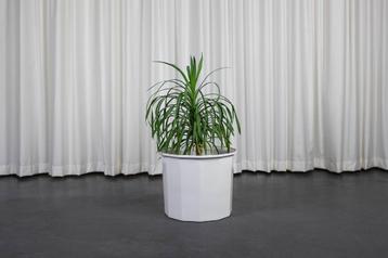 XXL plantenpot van Karin Björquist voor de Gu-fabriek