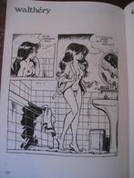 WILDE EEND FRANCOIS WALTHERY BD F MURR BETTY STRIP, Gelezen, Verzenden, Eén stripboek, Walthéry