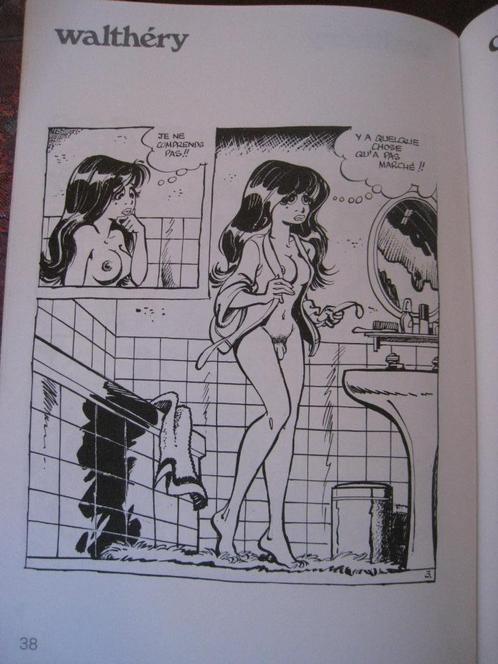 WILDE EEND FRANCOIS WALTHERY BD F MURR BETTY STRIP, Boeken, Stripverhalen, Gelezen, Eén stripboek, Verzenden