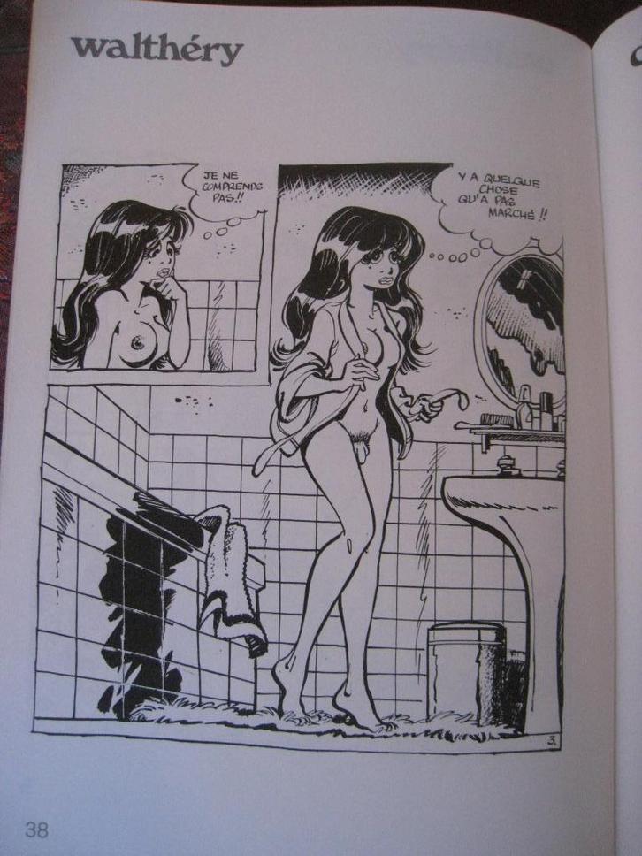 WILDE EEND FRANCOIS WALTHERY BD F MURR BETTY STRIP, Boeken, Stripverhalen, Gelezen, Eén stripboek, Verzenden