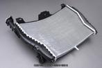 Radiateur Koeler Radiator AVDB BMW S1000R 2014 2020 S 1000 R, Motoren, Ophalen of Verzenden, Nieuw