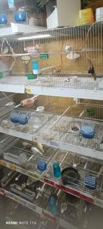 Cages damus molinaris 120x40x44cm et 90x40x44., Animaux & Accessoires, Comme neuf, Cage d'élevage, Enlèvement, Métal
