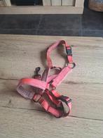 Halster pony, Ophalen, Zo goed als nieuw, Recreatie