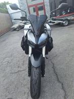 Honda CB 1000 Hornet nieuwstaat met fabrieksgarantie, Motoren, Motoren | Honda, Motorrijbewijs A, Bedrijf, Info@motosraes.be, Motos Raes