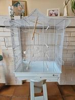 Cage à  oiseaux, Enlèvement