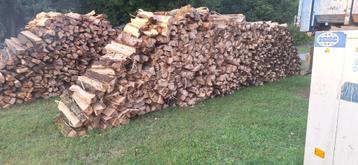 Bois de chauffage tendre ( lot en peupliers uniquement) beschikbaar voor biedingen
