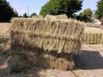Hooi, 2 x 1.2 x 0.7 m, Animaux & Accessoires, Nourriture pour Animaux, Enlèvement, Autres espèces