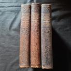 3 delig Docteur Pierre Louis Rehn Encyclopedie 1922, Boeken, Encyclopedieën, Ophalen of Verzenden