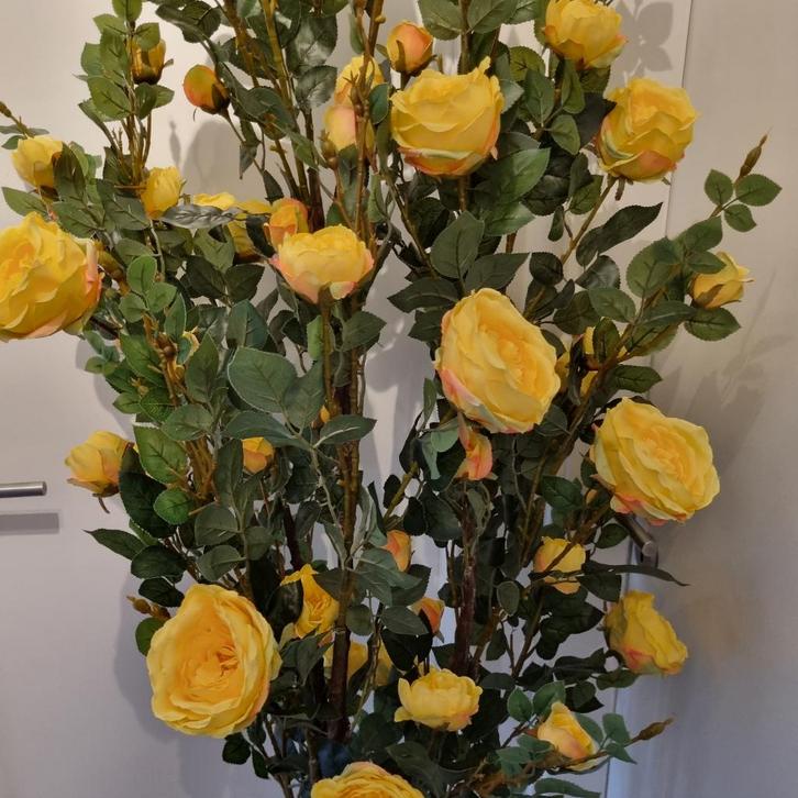 klimroos geel 210 cm hoog kunstplant, Huis en Inrichting, Kamerplanten, Overige soorten, 200 cm of meer, Bloeiende kamerplant