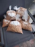 Hondenbrokjes Lidl, Dieren en Toebehoren, Ophalen, Hond