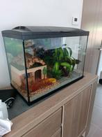 Aquarium/terrarium, Zo goed als nieuw, Ophalen