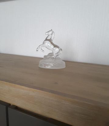 Steigerend paard Cristal d'Arques. beschikbaar voor biedingen
