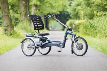 Gezocht: Van raam easy rider Driewielfiets. beschikbaar voor biedingen