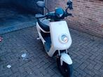 Scooter niu électrique, Comme neuf, Enlèvement, Électrique