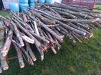 Brandhout stammen 3 a 3,5m lang ongeveer, 6 m³ ou plus, Enlèvement, Autres essences de bois, Troncs d'arbres