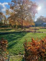 Vellen van bomen, Drie personen of meer