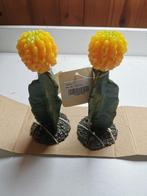 cactus terrarium plant plastiek NIEUW, Ophalen of Verzenden, Nieuw