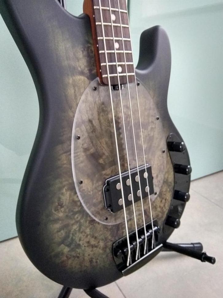 STINGRAY RAY34 PB Music Man Sterling, Muziek en Instrumenten, Snaarinstrumenten | Gitaren | Bas, Gebruikt, Elektrisch, Ophalen