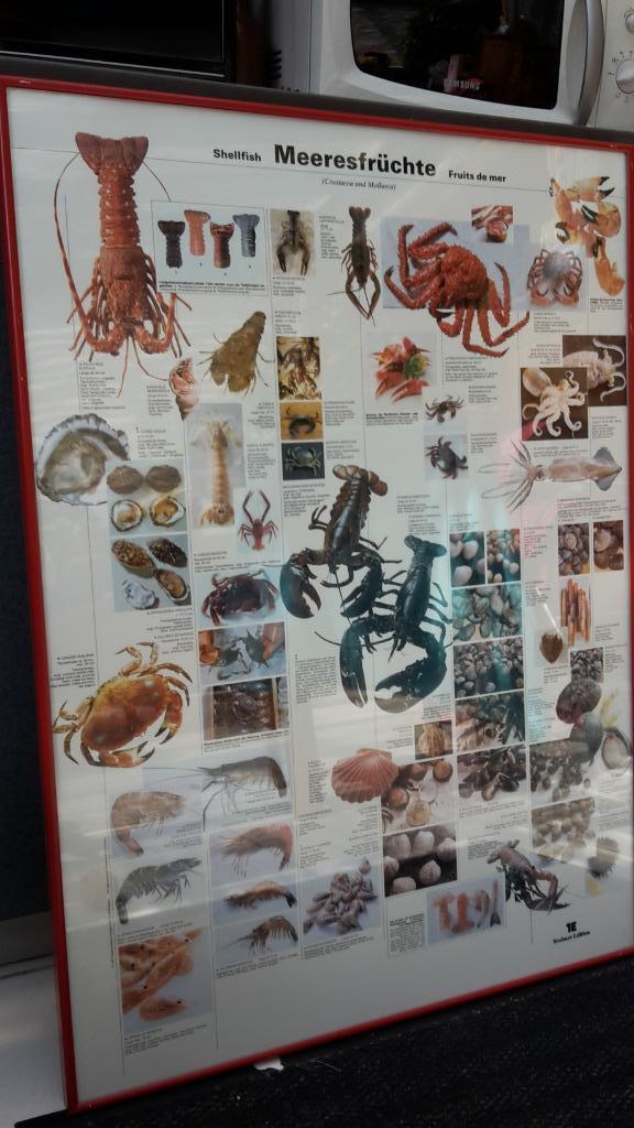 Teubner mooie ingelijste poster zeevruchten, Verzamelen, Posters, Gebruikt, Dier of Natuur, Rechthoekig Staand, Met lijst, Ophalen