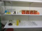 Lot d'accessoires pour élevage d'oiseaux, Ophalen