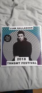 Liam Gallagher - TRNMST Festival 2018. 1LP, Cd's en Dvd's, Ophalen of Verzenden, Zo goed als nieuw, Alternative, 12 inch