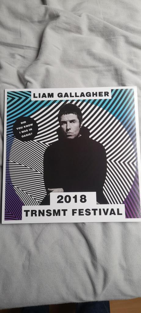 Liam Gallagher - TRNMST Festival 2018. 1LP, CD & DVD, Vinyles | Rock, Comme neuf, Alternatif, 12 pouces, Enlèvement ou Envoi