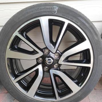 Siervelgen Qashqai of Duke beschikbaar voor biedingen