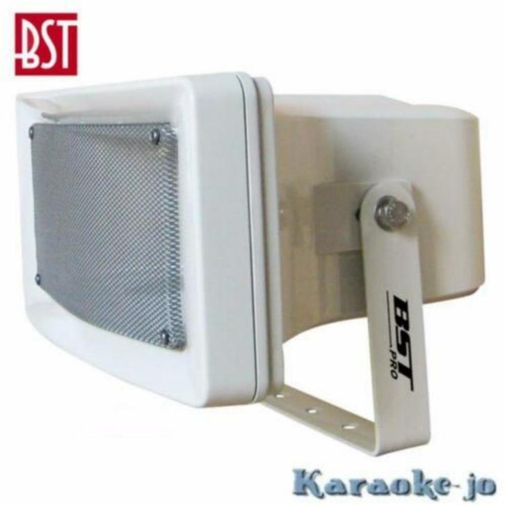 BST AP3640 Sound Projector 100 Volt 40 Watt, Audio, Tv en Foto, Luidsprekerboxen, Nieuw, Overige typen, Ophalen of Verzenden