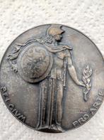 Medaille, Timbres & Monnaies, Pièces & Médailles, Bronze, Enlèvement ou Envoi