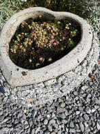 Pot en pierre en forme de cœur avec succulente, Comme neuf, Enlèvement ou Envoi