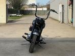 *** Harley Davidson Mexican Style Custom New ***, Bedrijf, 2 cilinders, Chopper, Meer dan 35 kW