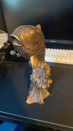 Vissen kunst, Ophalen